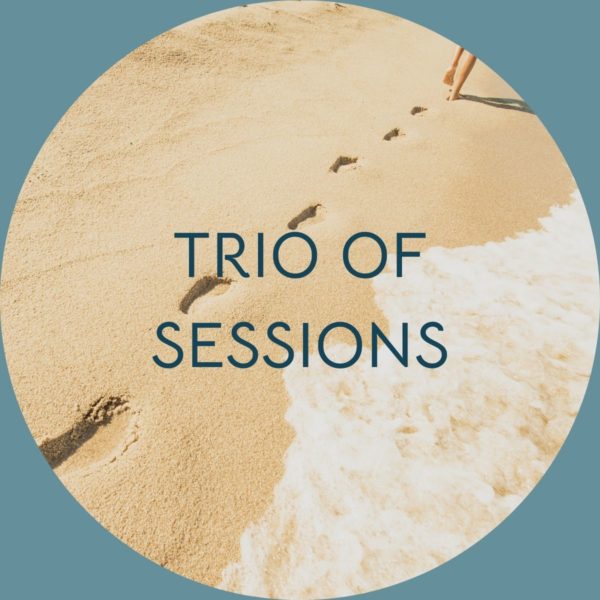 Moselle Mentorship Trio of Sessions